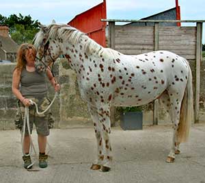 Rolly and Me